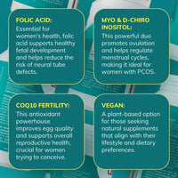 Ovulation Pack - Fertility + Ovulation Supplements - Conceive Plus® Europe